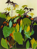 In the Spirit of Rousseau