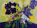 Iris