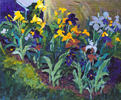 Jane's Garden