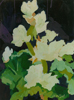 Rhubarb 4