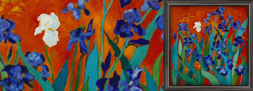Iris 2